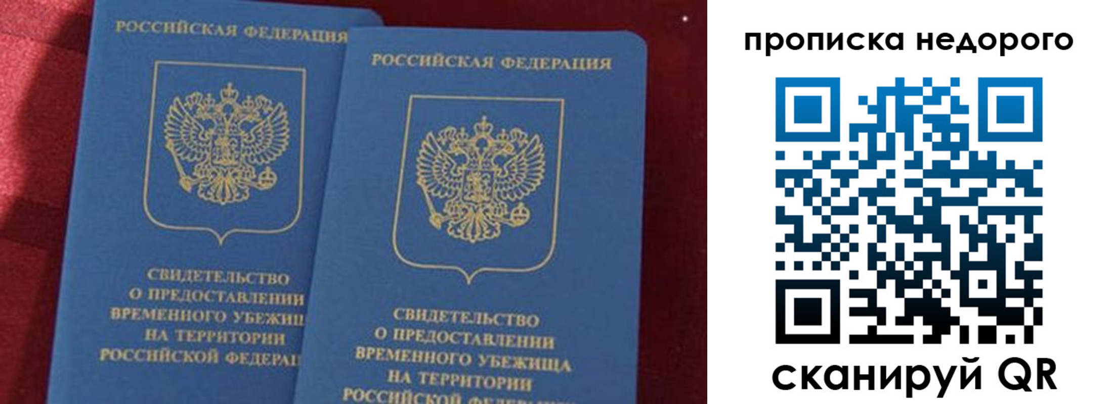 прописка гарантия в Вязьме